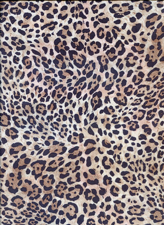Luxury leopard background. Cheetah print. Snow leopard fur. Wild tiger pattern.の写真素材