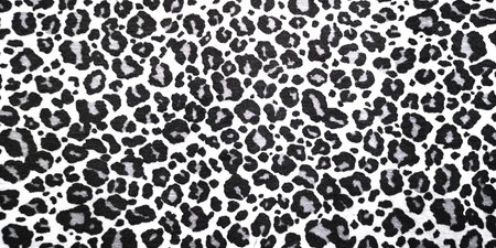 Luxury leopard background. Animal print. Snow Leopard skin Cheetah fur. Jaguar spots.の写真素材