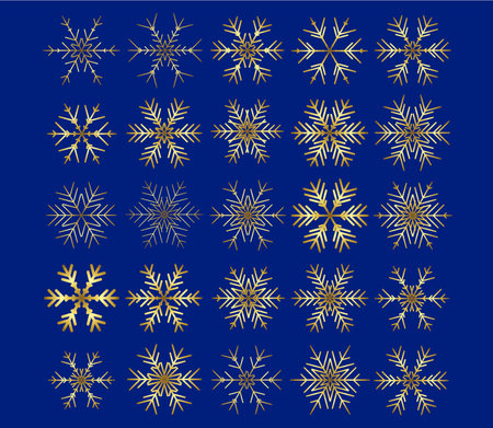 Vector set of different snowflakes on black background. Vector illustrationのイラスト素材