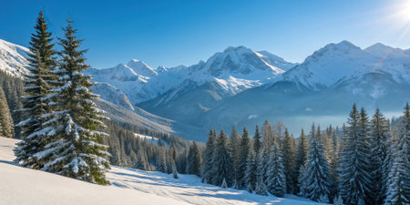 Peaceful panoramic winter landscape with snowy mountain peaks evergreen forest and bright sunlight highlighting the serene alpine valley in cold blue tones. .の素材