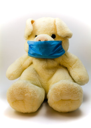 A pig toy wearing a surgical maskの写真素材