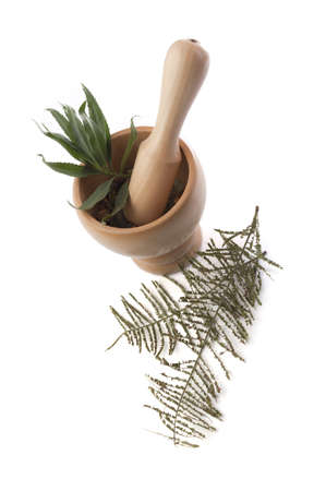 Mortar with herbs and roots for preparing organic medicineの写真素材