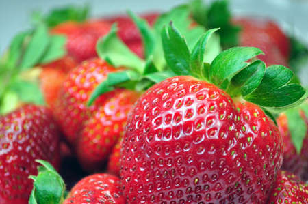 Fresh colorful, tasty strawberriesの写真素材