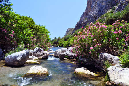 Preveli river, summer destination in Southern Crete, Greece.の写真素材