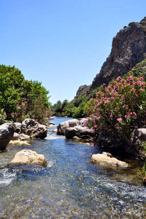 Preveli river, summer destination in Southern Crete, Greece.の写真素材