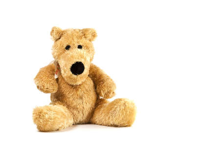  an isolated plush dog.の写真素材