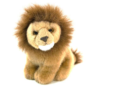  an isolated plush lion.の写真素材