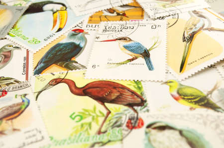 Collection of postage stamps displaying colorful birds.の写真素材