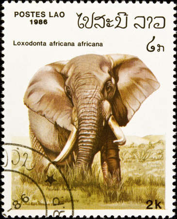 Postage stamp featuring an African elephant (Loxodonta africana).の写真素材