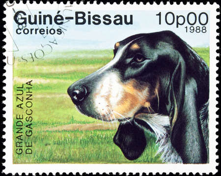 GUINEA-BISSAU - circa 1988:postage stamp features a Grande Azul de Gasconha dog, circa 1988 in the Republic of Guinea-Bissau.の写真素材