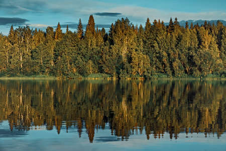Landscape forest river shore reflection in the water. The picture resembles a sound wave.の写真素材