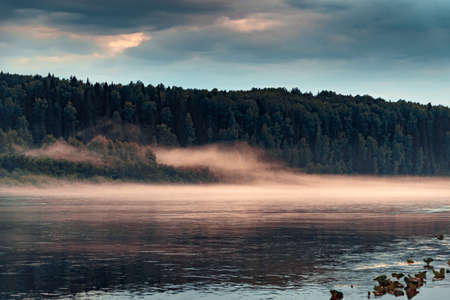 Evening fog over the calm surface of the water in the river with forest shoreの写真素材