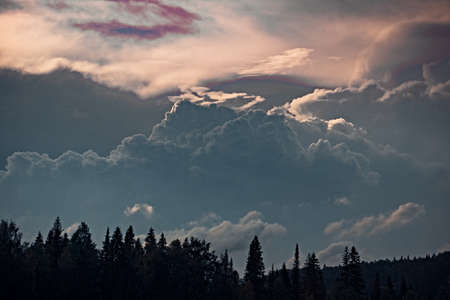 Gray Cumulus volumetric clouds over the forest, illuminated by the setting sunの写真素材