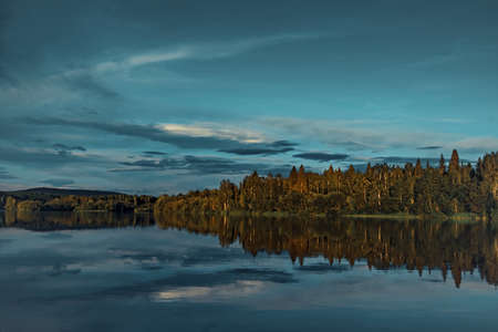 Coniferous forest on the river bank, illuminated by the sunset sun reflects in the waterの写真素材