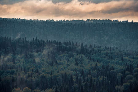 Mountain forest in fog with low-flying cumulus cloudsの写真素材