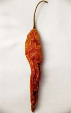 chiliの写真素材