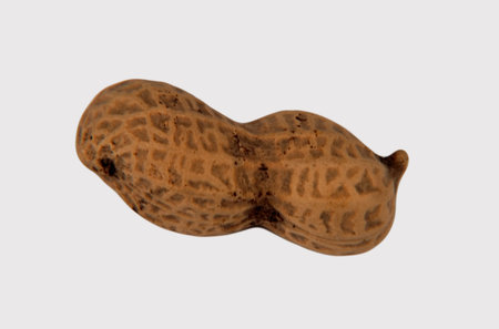 Peanut