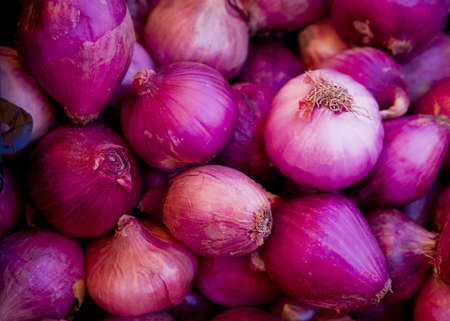 Red onionsの写真素材