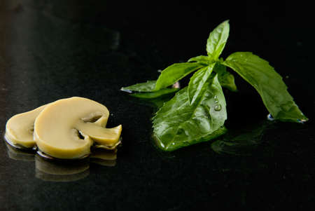 Mushroom and basilの写真素材