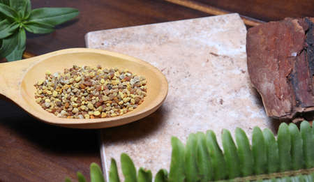 Honey bee pollen over in wooden spoon - pollen grainの写真素材