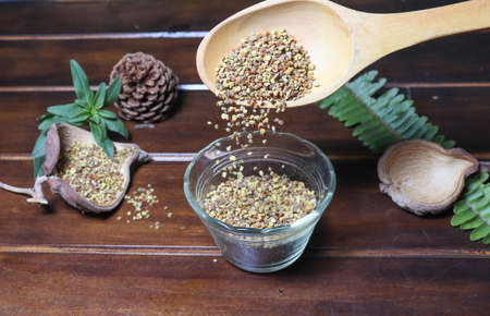 Pollen grains - Natural medicine - Healthの写真素材