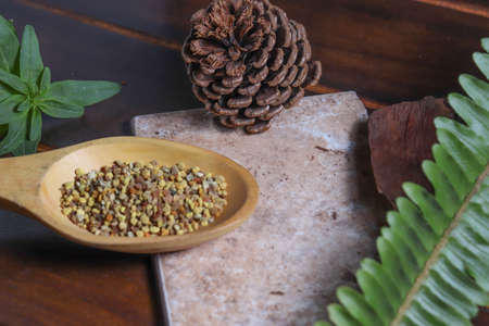 Pollen grains - Natural medicine - Health - Proteinsの写真素材