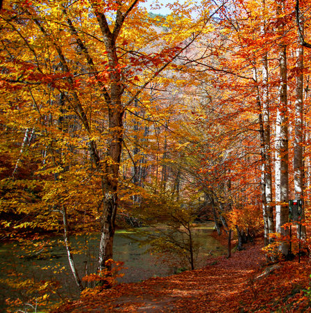 Seven Lakes National Park, Autumn, Turkey