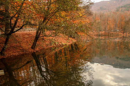 Seven Lakes National Park, Autumn, Turkeyの写真素材