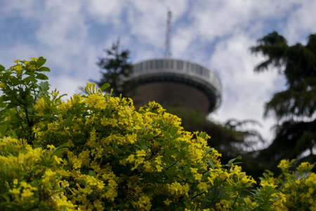 Spring at its peak of flowering, teaching its maximum splendor.の写真素材