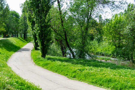 Madrid park with a path and trees with green leaves on either side, in Spain. Horizontal...