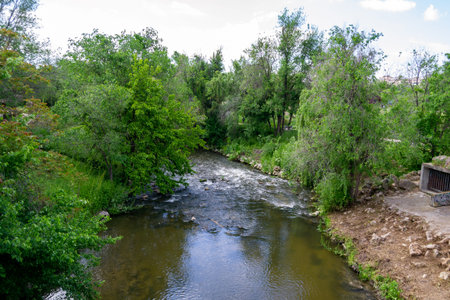 The Manzanares river as it passes through a park in the Community of Madrid, in Spain. Green trees on the sides of the water. Horizontal photography.の写真素材
