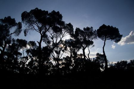 Sunbeams that appear behind the clouds and with a backlight of the trees, from the Casa de Campo in...
