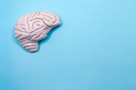 Plastic brain with space for text. Blue background. World Brain Day July 22. Horizontal photography.の写真素材