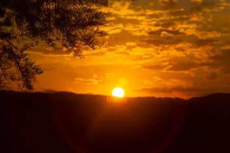Sunset with the silhouette of the mountain and a tree, from the beach of Torrenostra, in...