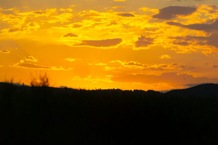Sunset with the silhouette of the mountain and a tree, from the beach of Torrenostra, in...