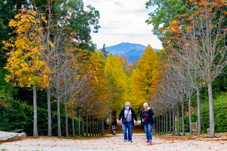 SEGOVIA, SPAIN - OCTOBER 19, 2021. Older couple walking along a path full of dry yellow and brown leaves from autumn in Segovia, Spain. Europe. Horizontal photography.のeditorial素材