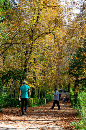 MADRID, SPAIN - OCTOBER 21, 2021. People walking along a path full of dry yellow and brown leaves caused by autumn in the Retiro Park in Madrid, Spain. Semi-bare tree branches Europe.のeditorial素材
