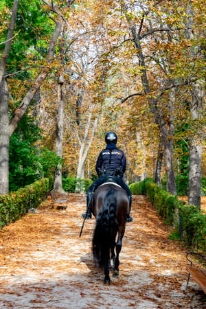 Police officer mounted on a horse passing through a road full of dry leaves due to autumn in the Retiro Park in Madrid, Spain. Semi-bare tree branches Europe. Vertical Photography.のeditorial素材