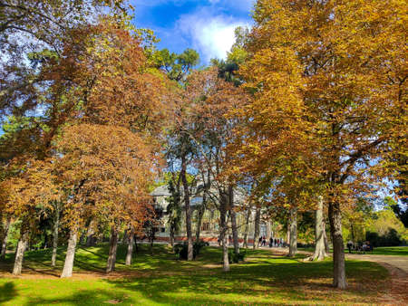 The Crystal Palace in Madrid's Retiro Park with an autumnal landscape and a somewhat cloudy day at sunset. Trees with fall colors and autumn light.のeditorial素材