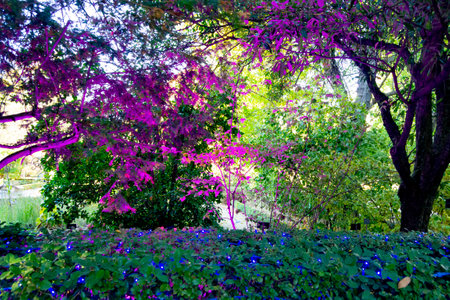 MADRID, SPAIN - OCTOBER 27, 2021. Dirt road through the Royal Botanical Garden of Madrid, in Spain. Europe. Photography.のeditorial素材
