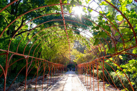 MADRID, SPAIN - OCTOBER 27, 2021. Dirt road through the Royal Botanical Garden of Madrid, in Spain. Europe. Photography.のeditorial素材