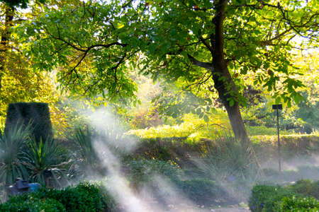 Twilight rays of the sun breaking through the branches of autumnal trees in the Royal Botanical Garden of Madrid, Spain. Europe. Horizontal photography.の写真素材