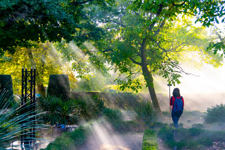 Twilight rays of the sun breaking through the branches of autumnal trees in the Royal Botanical Garden of Madrid, Spain. Europe. Horizontal photography.の写真素材