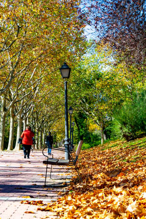 MADRID, SPAIN - NOVEMBER 4, 2021. People walking along an autumnal path in the Parque Norte de Madrid with a carpet of dry brown leaves, in Spain. Europe.のeditorial素材