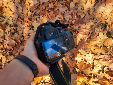 Photograph with a camera on a background of a carpet of brown leaves to photograph the autumn season in the parks of Madrid with the reflection of a skyscraper, in Spain. Horizontal photography.の写真素材