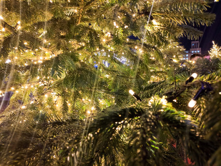 Green fir with Christmas lights decorating the tree placed on a street in the city of Madrid, in...