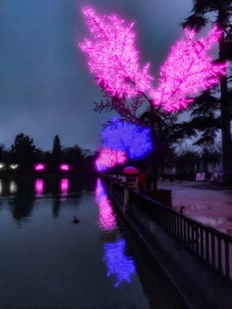 Christmas lights decorating the Retiro Park in Madrid next to the pond on a gray and rainy day, in Spain. Europe. Photography.の写真素材