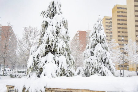 Snow. Winter. Streets covered in a white blanket of snow that covers all the elements that are on the street. Cold concept. Winter concept. Winter 2022. Photography.の写真素材