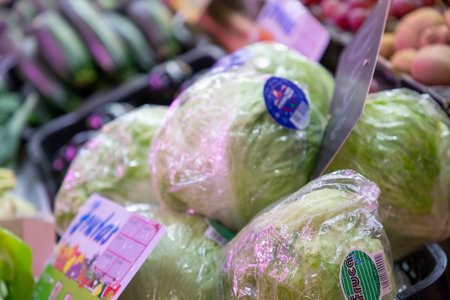 lettuces. Fruit and vegetable stall. Stall with lettuce in a market in Madrid, Spain. Green lettuce leaves with water drops. Landscape photography.の写真素材