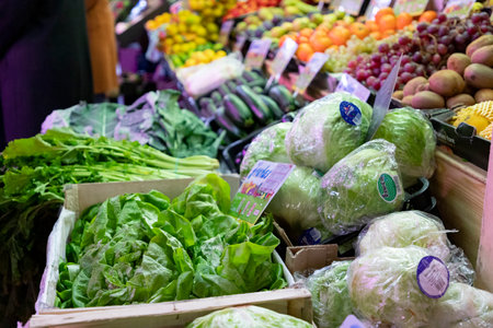 lettuces. Fruit and vegetable stall. Stall with lettuce in a market in Madrid, Spain. Green lettuce leaves with water drops. Landscape photography.の写真素材